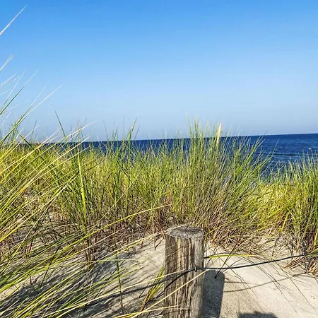 Apartman Blaumuschel - Lub113 By Interhome